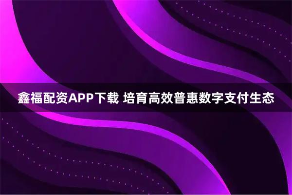 鑫福配资APP下载 培育高效普惠数字支付生态